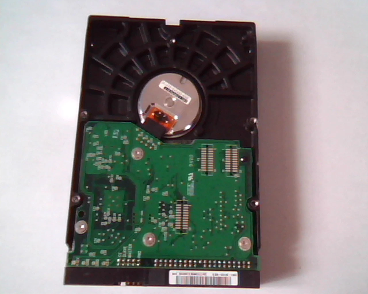 Hard Drive Disk IDE Western Digital WD800 WD800JB-00CRA1 156301488 80GB NOV2002 - image 4