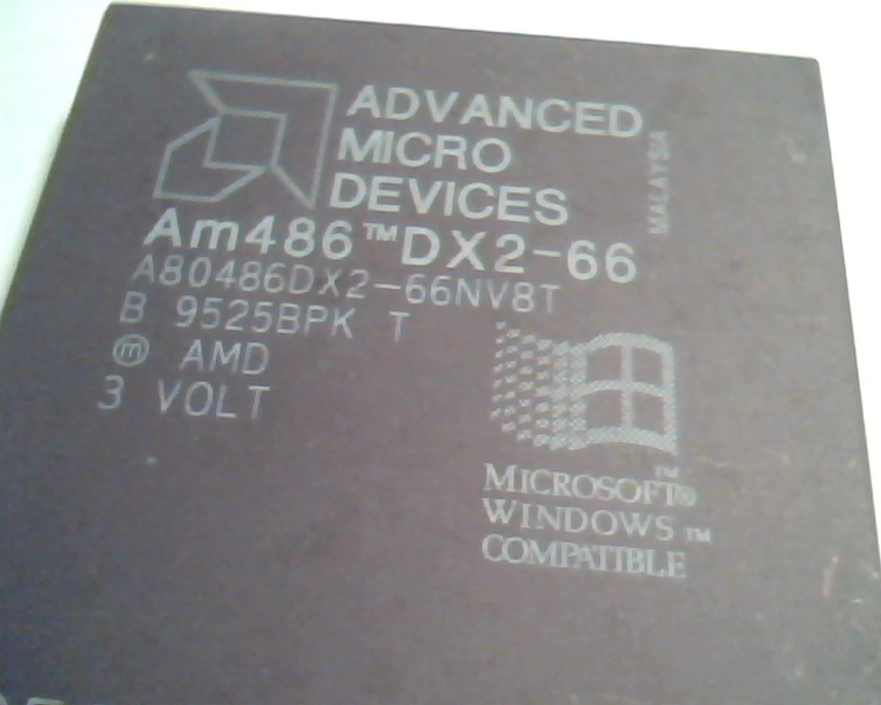 Rare CPU computer chip - Am486 DX2-66 A80486DX2-66NV8T B 9525BPK T 25253 - image 4
