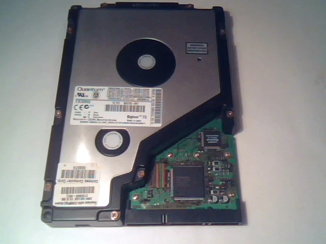 Hard Disk Drive Quantum Bigfoot TS 12.7AT 352745-001 TS12A891 IDE AT ATA 40-pin