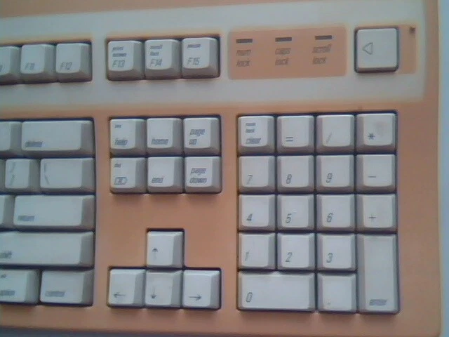 Apple Extended Keyboard II M3501 BCGM3501 - Macintosh, working CREAM ALPS — image 4