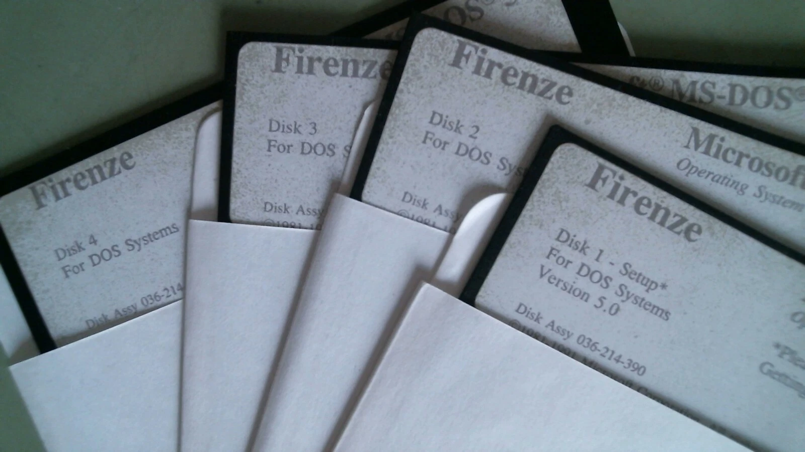 Firenze Microsoft MS-DOS 5 - 5.25 floppy disks - image 3