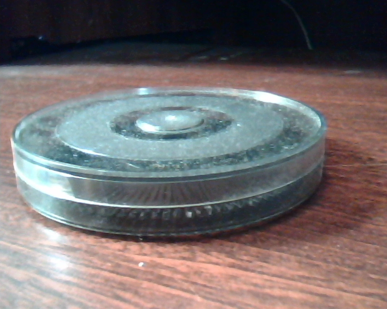 Printhead Print Head ELITE-12-S B8152 Daisywheel Printwheel - image 2