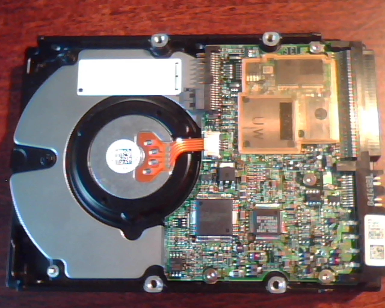 Hard Drive Disk SCSI IBM DDRS-39130 E182115 S F21419 03L5292 334139-001 - image 5