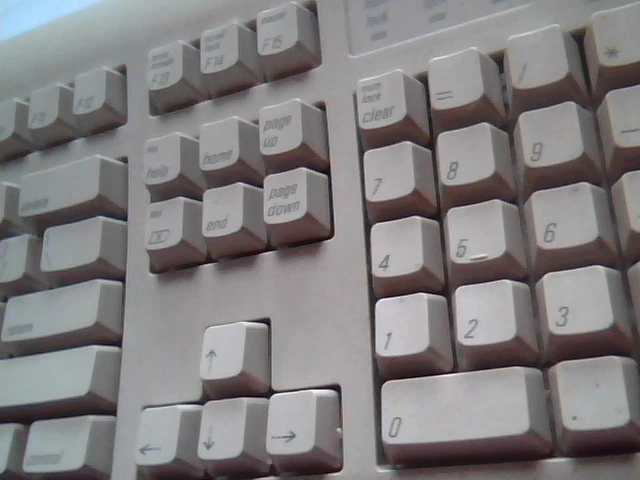 Keyboard AppleDesign Model M2980 LR62448 - 1996 Apple - image 3