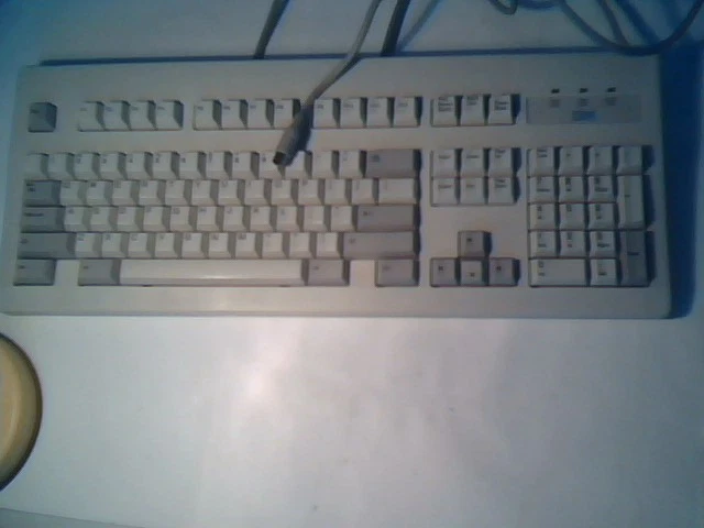 IBM KEYBOARD MODEL A, FRU 06H5305 08H4601 PS/2 Heavy Tactile clean dome clicky