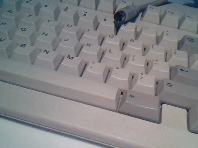 IBM KEYBOARD MODEL A, FRU 06H5305 08H4601 PS/2 Heavy Tactile clean dome clicky - image 2
