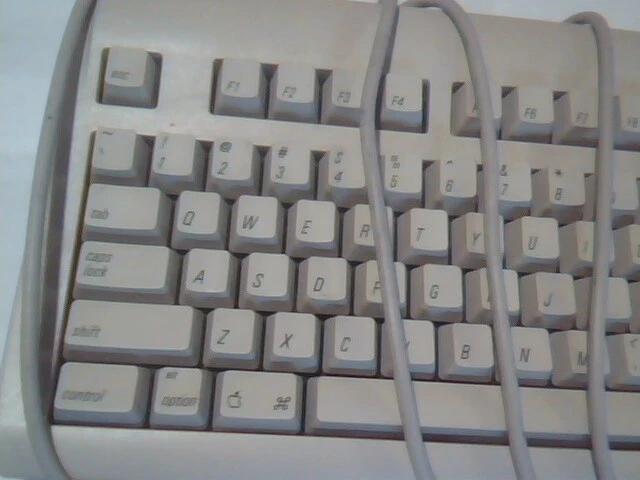Apple Design Keyboard Model M2980 - Macintosh, vintage, working - image 3